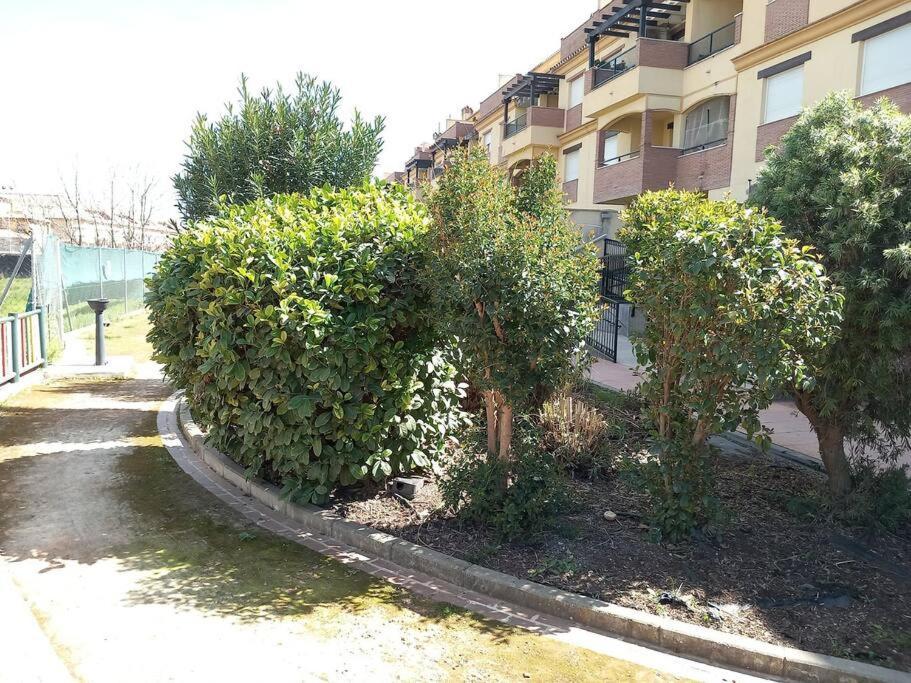 شقة El Nido Del Nomada Atarfe المظهر الخارجي الصورة